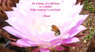 Be a Lamp, 5