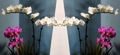 g12/79/738779/3/172810584.G4mibFNm.jpg