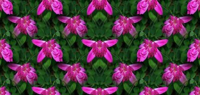 g12/79/738779/3/74165925.wsfDdPHZ.jpg