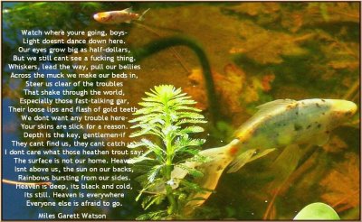 Sermon of the Elder Fish