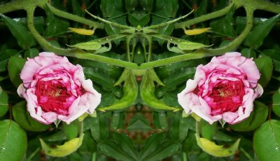 g12/79/738779/3/74177883.MzD0W2eb.jpg