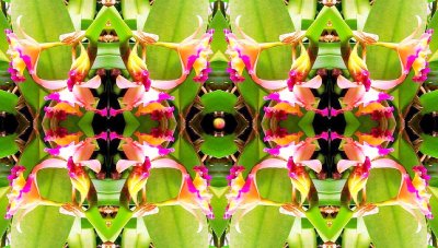 g12/79/738779/3/74217550.bkxHbgTh.jpg