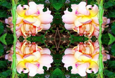 g12/79/738779/3/78634338.SPhXUIF2.jpg