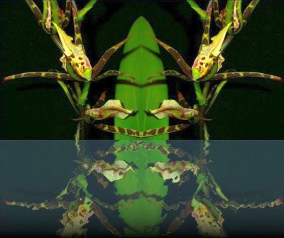 g12/79/738779/3/79997563.txN2t4Xh.jpg