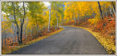 Alpine Loop Road fall color
