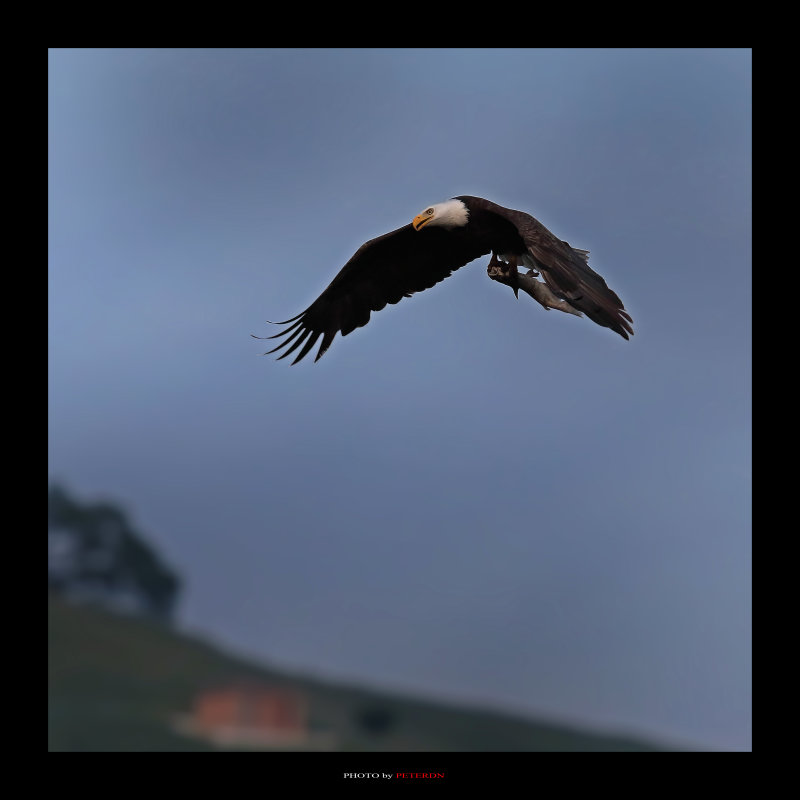 IMG_2794.jpg