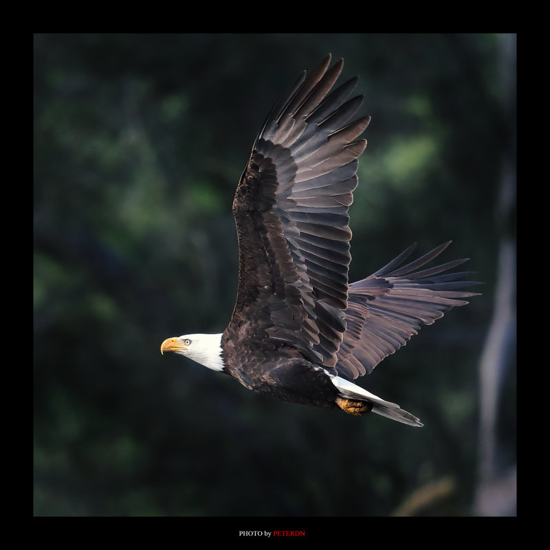 IMG_6884.JPG