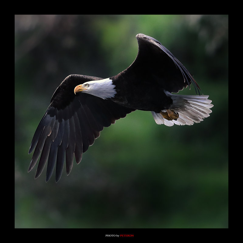 IMG_6934.JPG