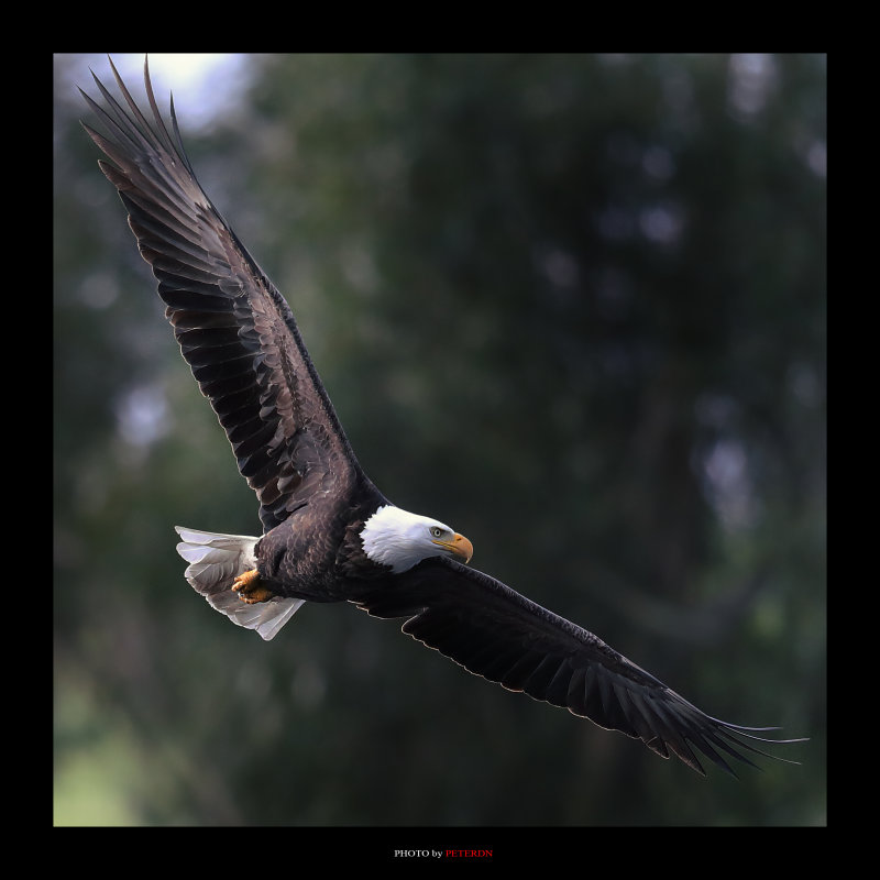 IMG_6988.JPG
