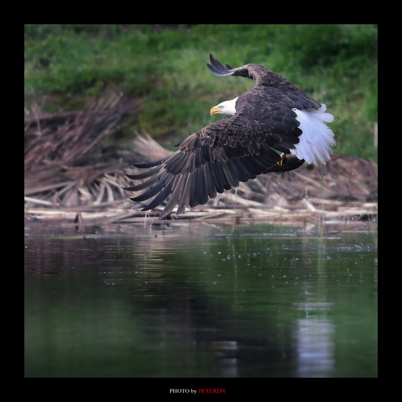 IMG_7021.jpg