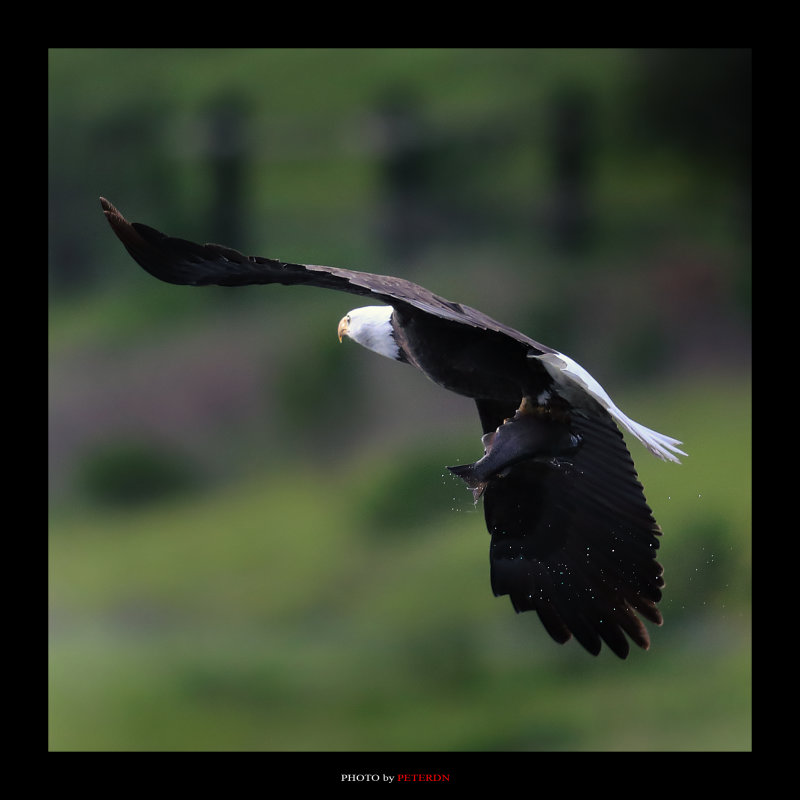 IMG_7037.jpg