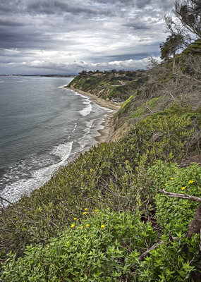 Santa Barbara Coast - Douglas Family Preserve