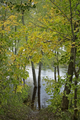 High Water Color - St. Croix River