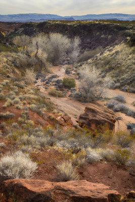 Arroyo - Snowy Canyon State Park - Utah