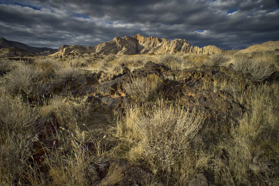 Lava ,Grasses, Cacti Against the White Rock - Snow Canyon State Park - Utah