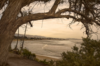 Coal Oil Point - California