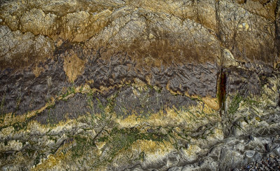 Rock Wall and Seaweed -Montana de Oro, State Park - California