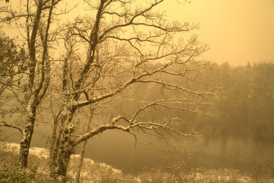 Yellow Sky and Snow