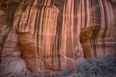Desert Varnish - Long Canyon - Utah