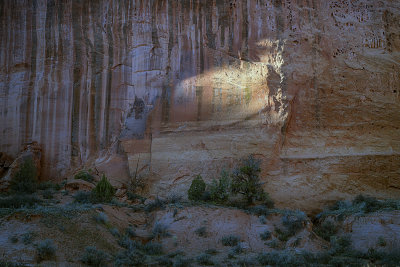 Long Canyon - Utah