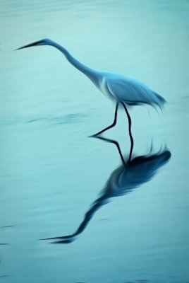 Egret Hunting