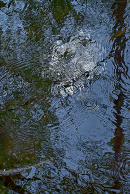 Reflections
