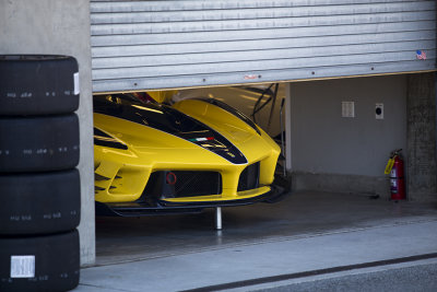 FXXK Evo