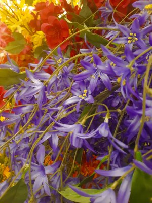 Hobby Lobby flowers.