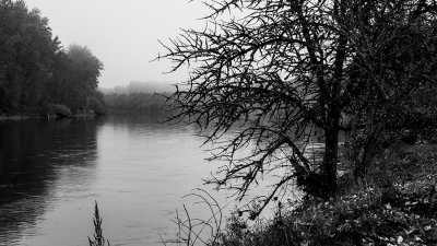 A foggy morning on the river.