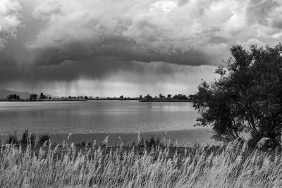 Bountiful Pond.