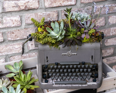 Honey, why are these plants in my typewriter, I want to write a letter!