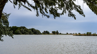 Noon hour at the Bountiful Pond