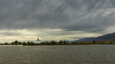 Bountiful Pond