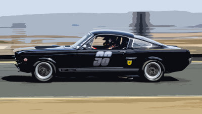 Shelby GT 350 at Sonoma.