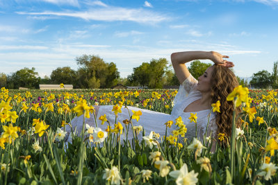 Lady in white among Daffodils.