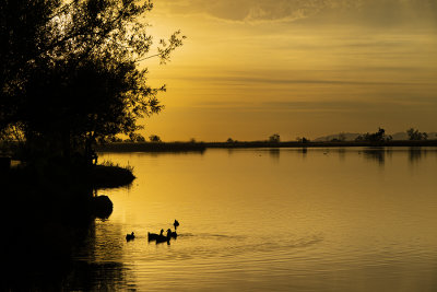 The Golden Hour at the Bountiful Pond.
