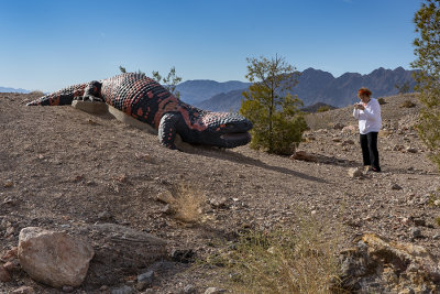 Another shot from our walk in Bootleggers Canyon Park.