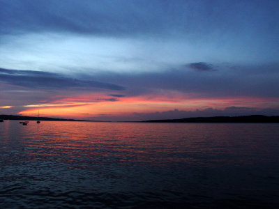 DSC01320.jpg