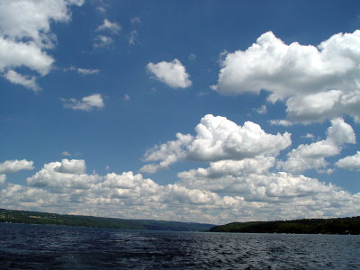 DSC01331.jpg