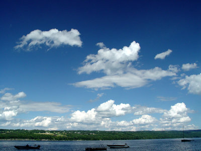 DSC01374.jpg