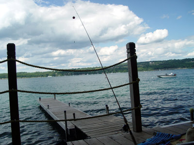 DSC01381.jpg