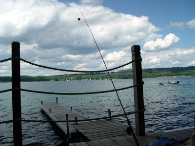 DSC01382.jpg
