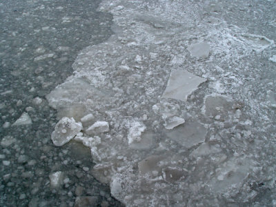 no6.jpg