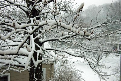 snow side.jpg