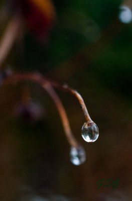Universe in a Droplet