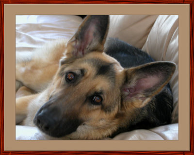 Best Friend
