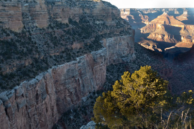 Grand Canyon & Kingman Arizona