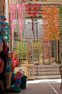 20100824-22676.jpg