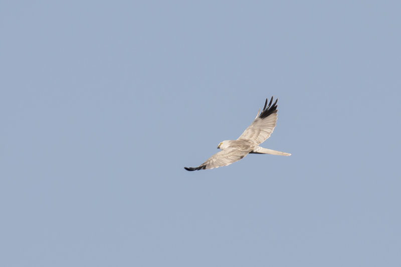 IMG_6744.jpg