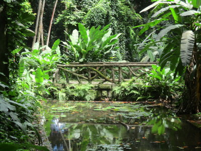 PARQUE LAGE / RIO DE JANEIRO 02/01/2022  IMG_0957.JPG
